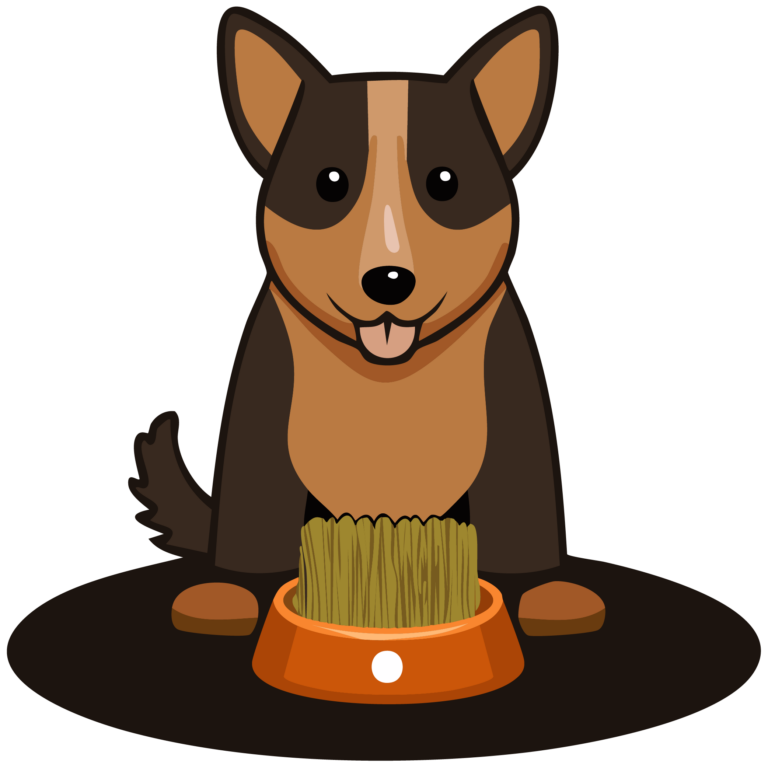 Hunde_Tipps_Zeichenfläche 1-02