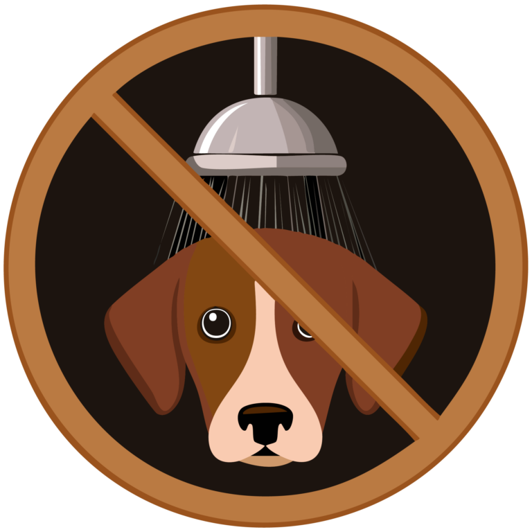 Hunde_Tipps_Zeichenfläche 1-05