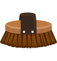 Pferdebürste_Icon